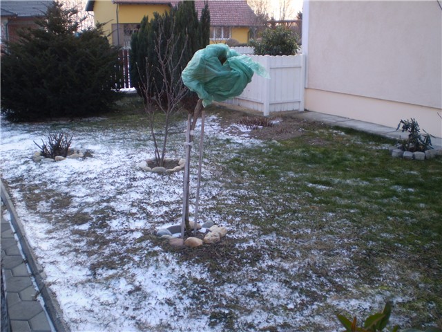 jutro